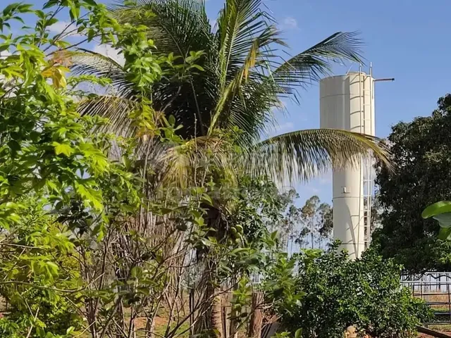 Imagem: Sítio a 2 Km da Cidade de Tanabi, com 2.5