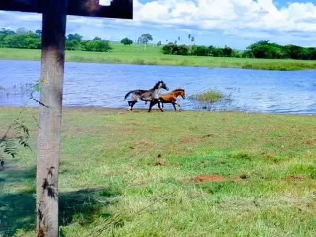 Imagem 2: Lote..icém Oportunidade