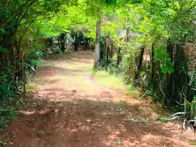 Imagem 5: Lote..icém Oportunidade