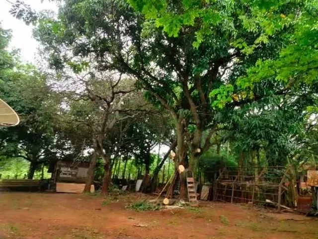 Imagem 14: Lote..icém Oportunidade