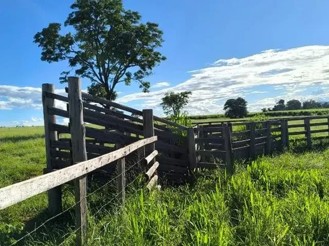 Imagem: Chácara / Sítio 5 Alqueires Cosmorama