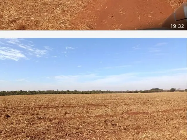 Imagem: Fazenda no Município de Guaira