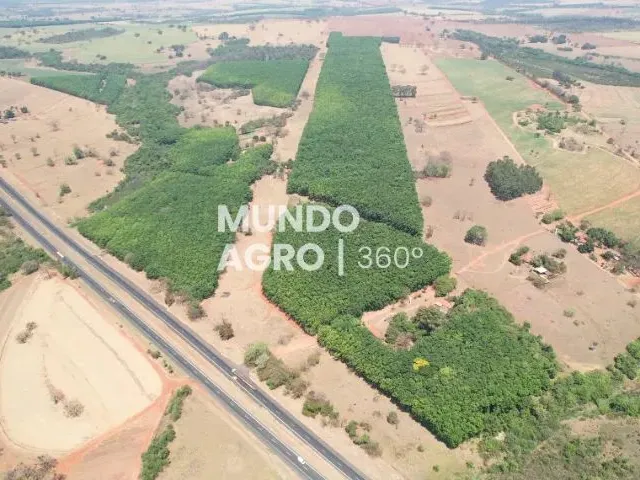 Imagem: 14.49 Alq. Seringueira. Margem da Euclides