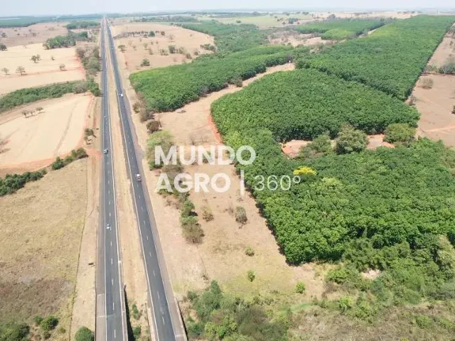 Imagem 2: 14.49 Alq. Seringueira. Margem da Euclides da Cunha