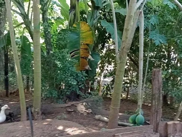 Imagem 9: Vendo Linda Chácara