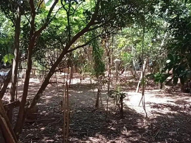 Imagem 16: Vendo Linda Chácara
