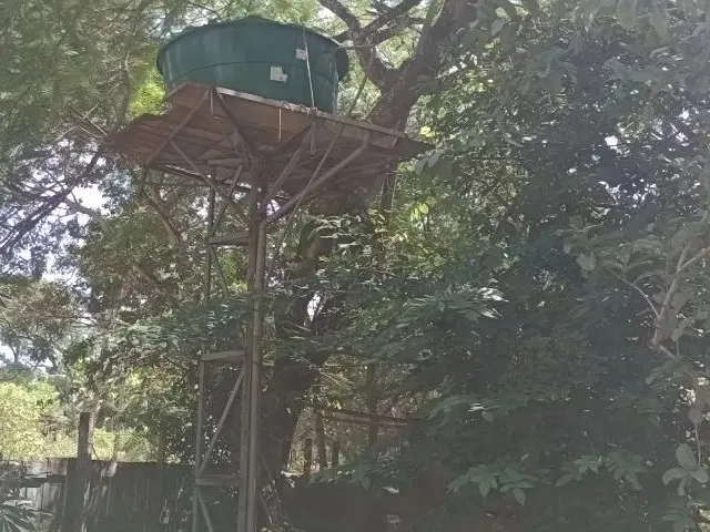 Imagem 13: Vendo Linda Chácara