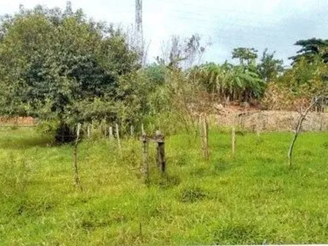 Imagem: Terreno em Fernandópolis 360M2, Jardim