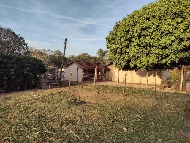 Imagem: Cedral (Sp) Ótimo Sítio com 1,5 Alqueires