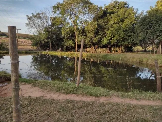 Imagem 14: Cedral (Sp) Ótimo Sítio com 1,5 Alqueires
