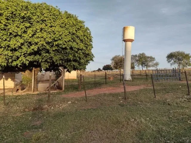 Imagem 13: Cedral (Sp) Ótimo Sítio com 1,5 Alqueires