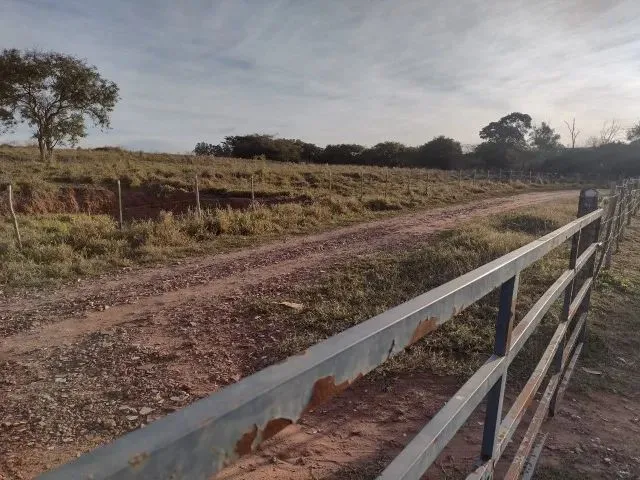 Imagem 3: Cedral (Sp) Ótimo Sítio com 1,5 Alqueires