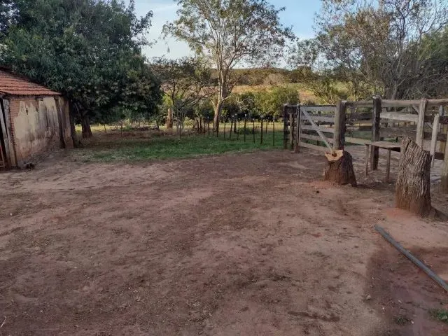 Imagem 9: Cedral (Sp) Ótimo Sítio com 1,5 Alqueires