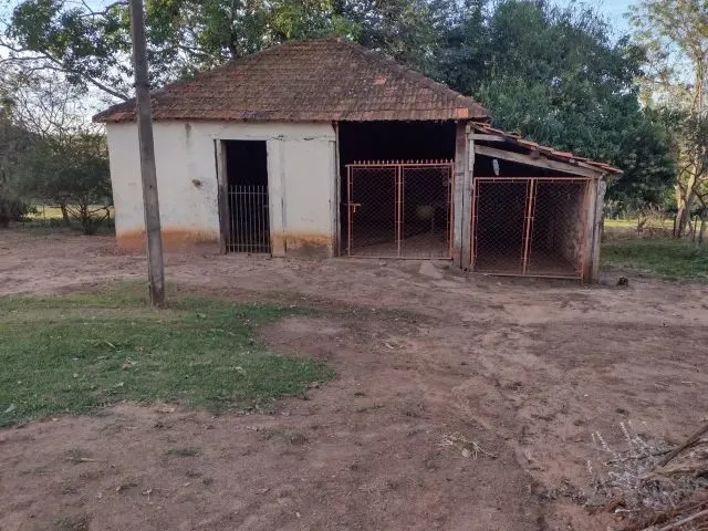 Imagem 2: Cedral (Sp) Ótimo Sítio com 1,5 Alqueires