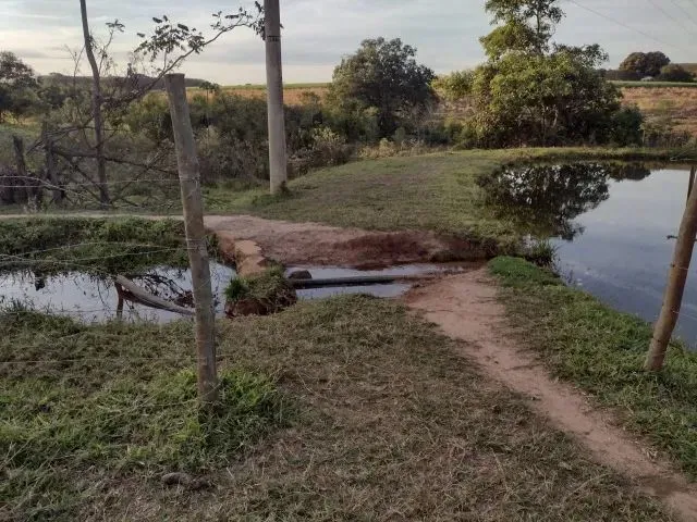 Imagem 7: Cedral (Sp) Ótimo Sítio com 1,5 Alqueires
