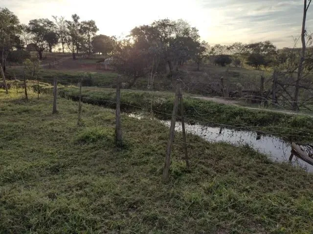 Imagem 4: Cedral (Sp) Ótimo Sítio com 1,5 Alqueires