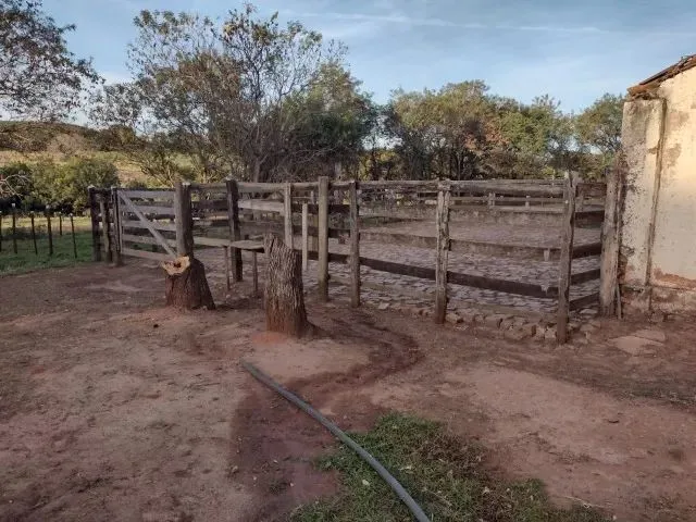 Imagem 15: Cedral (Sp) Ótimo Sítio com 1,5 Alqueires