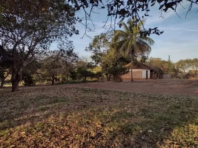 Imagem 10: Cedral (Sp) Ótimo Sítio com 1,5 Alqueires