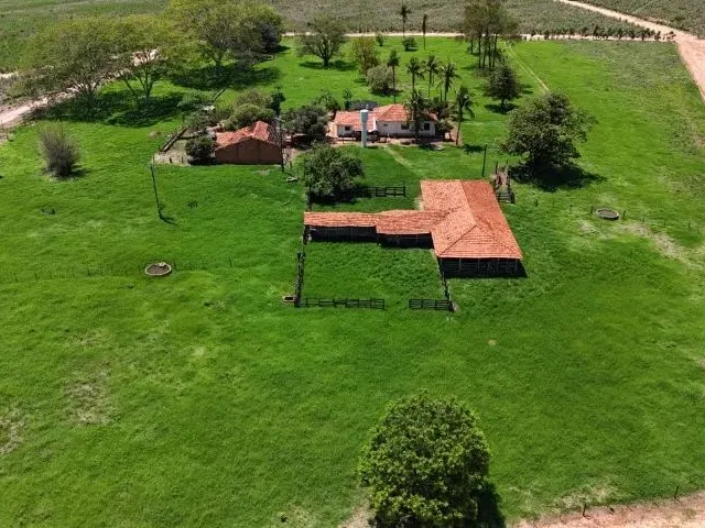 Imagem: Região de Jales/Sp. São 66 Alqueires com