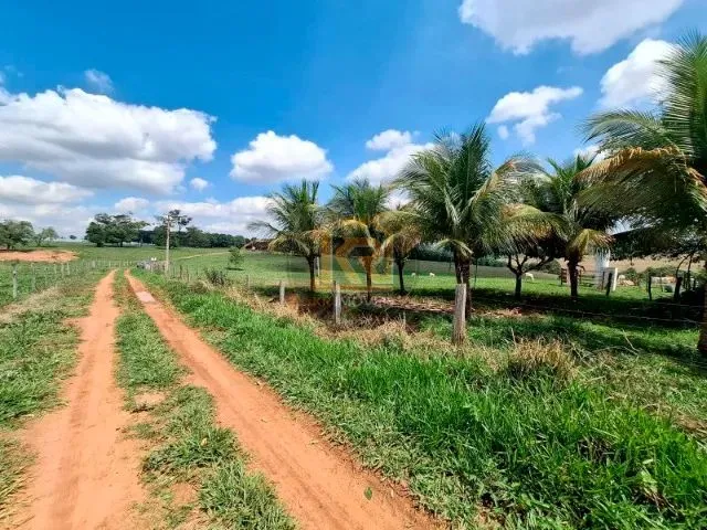 Imagem: Cedral (Sp) Sítio com 2 Alqueires
