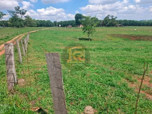 Imagem 3: Cedral (Sp) Sítio com 2 Alqueires