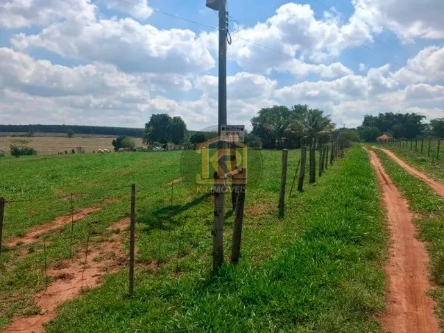 Imagem 5: Cedral (Sp) Sítio com 2 Alqueires
