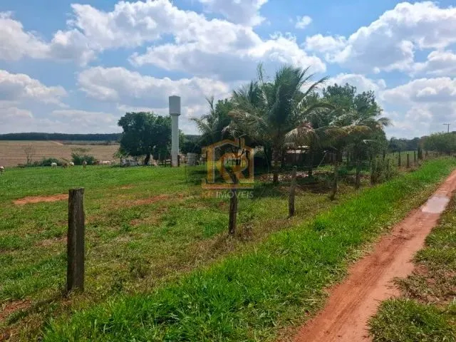 Imagem 14: Cedral (Sp) Sítio com 2 Alqueires
