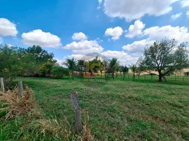 Imagem 6: Cedral (Sp) Sítio com 2 Alqueires