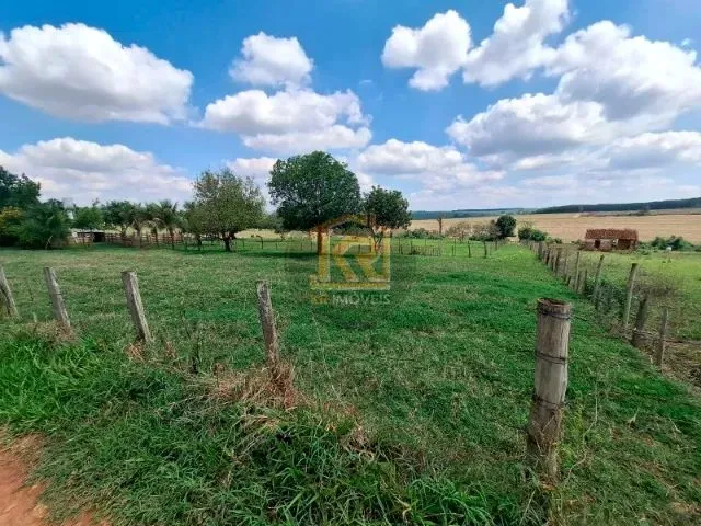 Imagem 2: Cedral (Sp) Sítio com 2 Alqueires