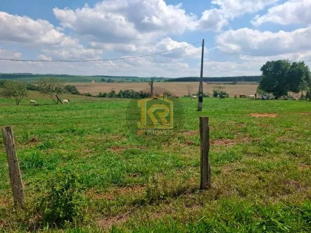 Imagem 4: Cedral (Sp) Sítio com 2 Alqueires