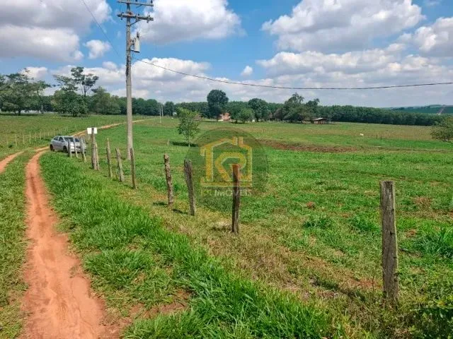 Imagem 11: Cedral (Sp) Sítio com 2 Alqueires