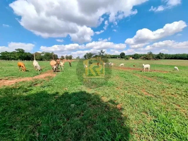 Imagem 12: Cedral (Sp) Sítio com 2 Alqueires