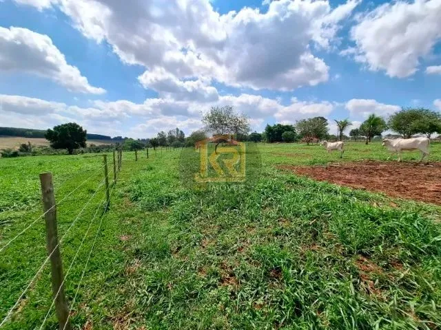 Imagem 8: Cedral (Sp) Sítio com 2 Alqueires