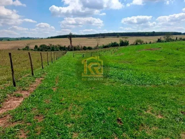 Imagem 9: Cedral (Sp) Sítio com 2 Alqueires