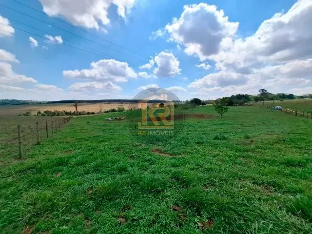Imagem 16: Cedral (Sp) Sítio com 2 Alqueires
