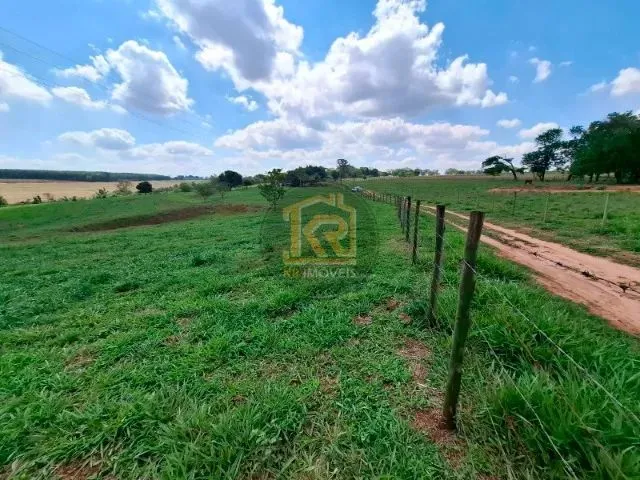 Imagem 10: Cedral (Sp) Sítio com 2 Alqueires