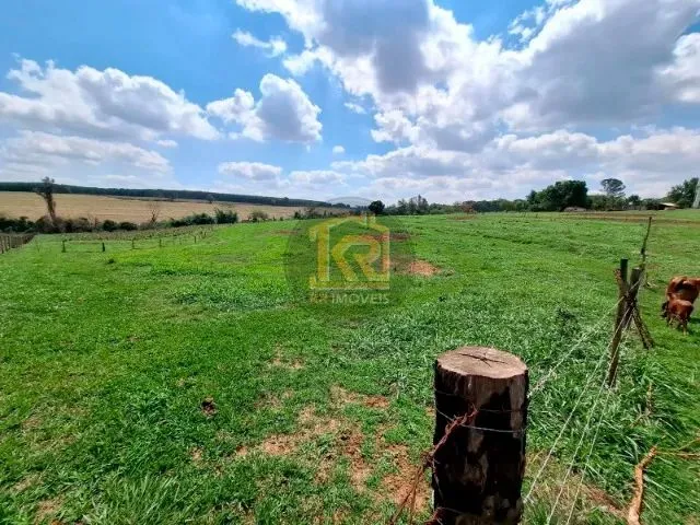 Imagem 7: Cedral (Sp) Sítio com 2 Alqueires