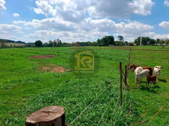Imagem 13: Cedral (Sp) Sítio com 2 Alqueires
