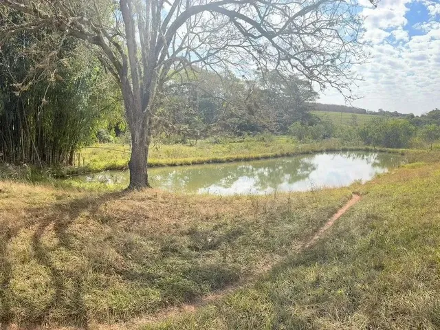 Imagem: Imóvel para Venda Possui 181500 Metros
