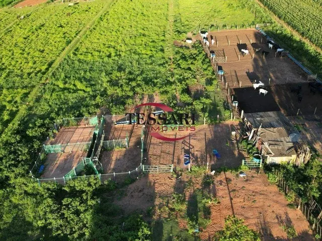 Imagem 3: Vende-Se Sitio com 11 Alqueires com Represa Próximo a Cidade de José Bonifácio