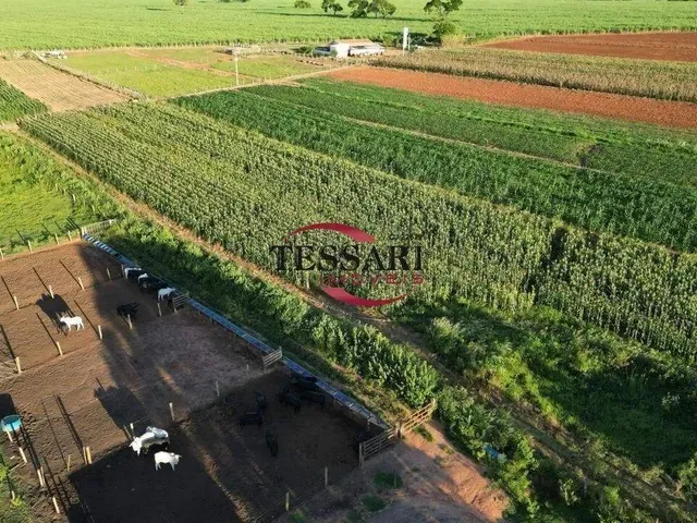 Imagem 4: Vende-Se Sitio com 11 Alqueires com Represa Próximo a Cidade de José Bonifácio