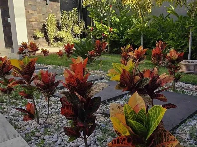 Imagem 10: Casa À Venda em Goiânia, Setor Grajaú, com 3 Quartos, com 174 M²