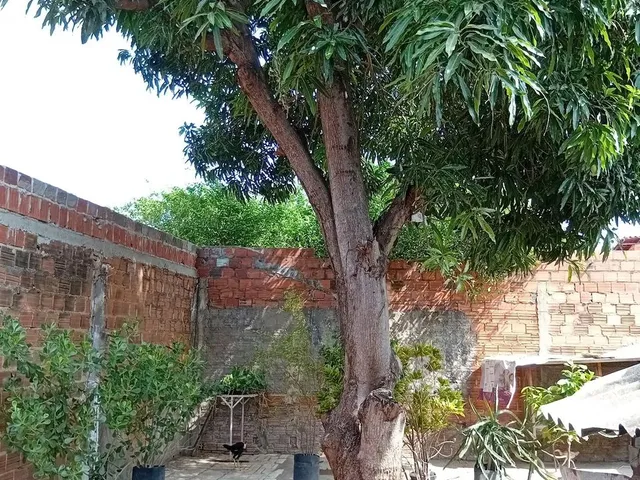 Imagem: Vende-Se Uma Casa Bem Localizada na Irmã