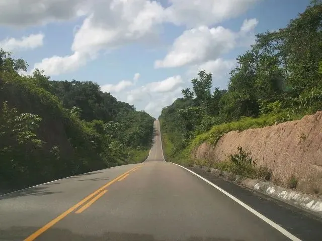 Imagem: Sítio 200 X 960 na Br 174 Km 80 160.000,00