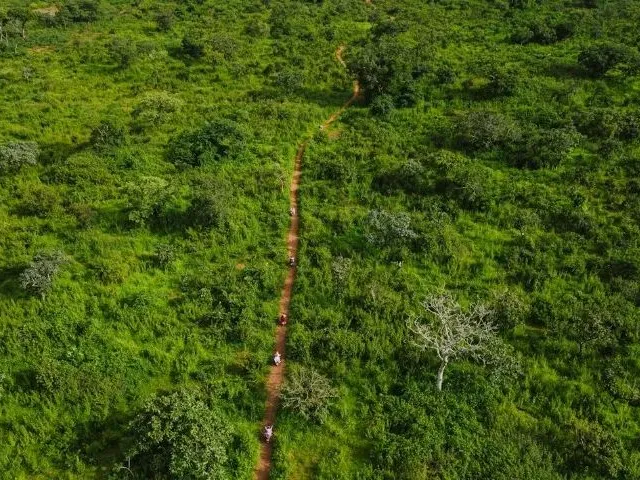 Imagem 2: Sítio 200 X 960 na Br 174 Km 80 160.000,00