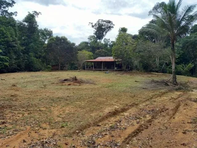 Imagem: Sítio 1.500 X 2.000 em Estrada de Balbina
