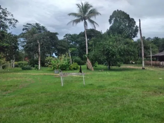 Imagem: Sítio 333 X 1.000 na Br 174 Ramal do Pau