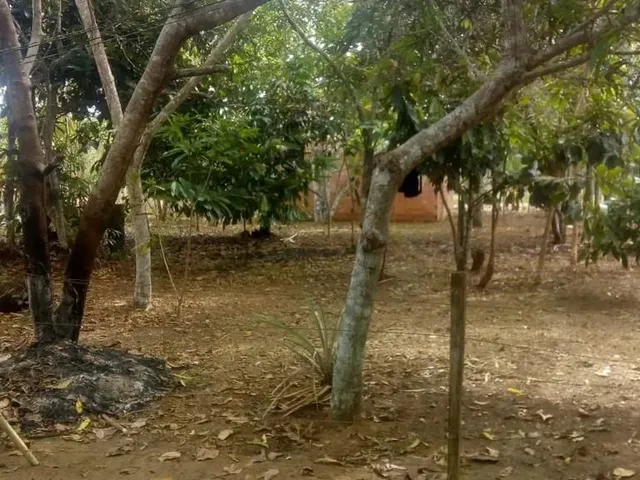 Imagem: /Lote com 800 M2 em Açutuba