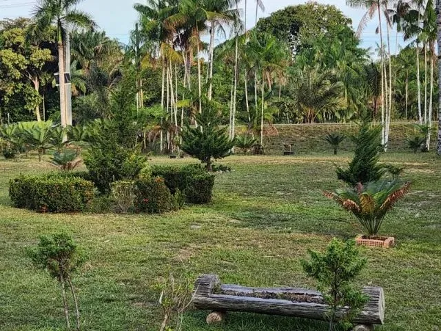Imagem: Sítio 1000 X 3.000 Estrada Balbina 1.016.000