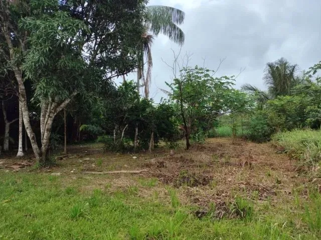 Imagem: Terreno Medindo 20X100 Metros